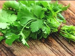 Coriander Leaves