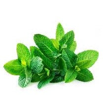 Mint Leaves